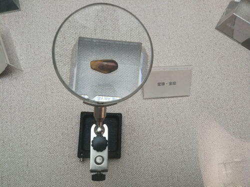 论坛新丁的旅程 7 来抚顺,怀揣澎湃之心欣赏精美的煤炭制品